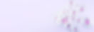 banner 3 desktop.jpg