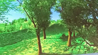 bird.gif