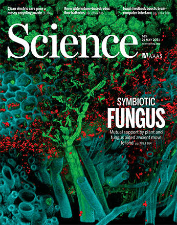 science fungus.gif