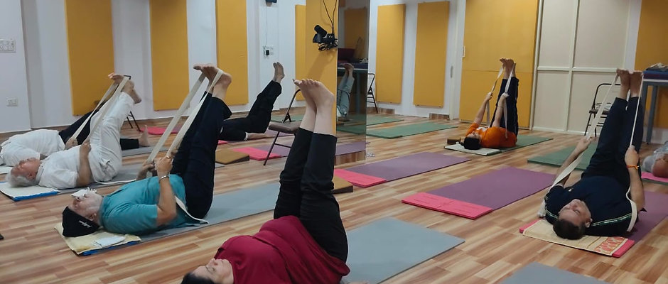 Yoga Wellness and Fitness Program