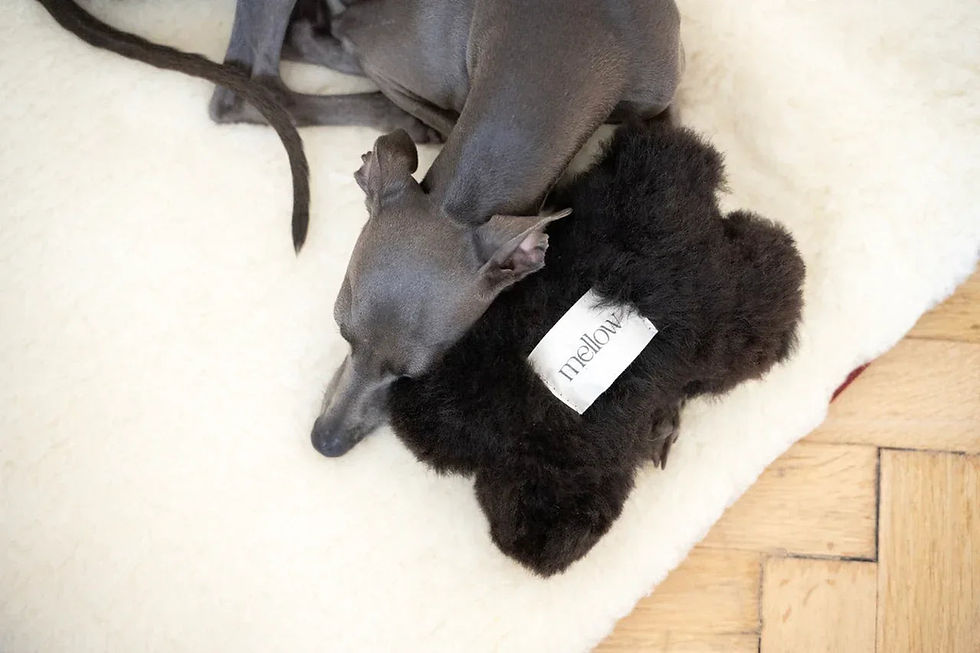 Miniaturbild: Natürliches Hundespielzeug aus Schaffell – Knochenform, Schwarz