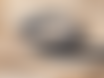 Welche Hundeleine passt zu deinem Hund?