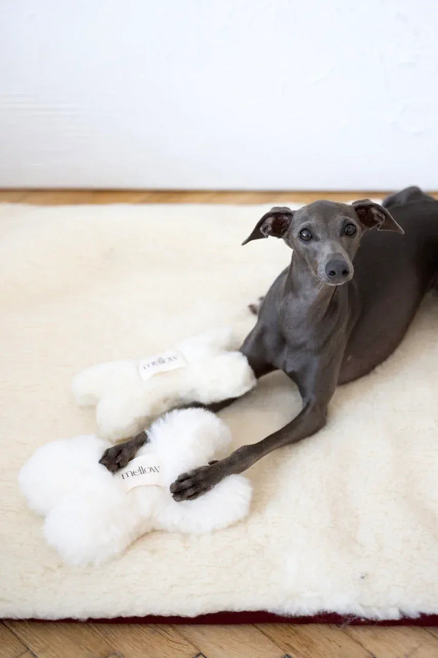 Natürliches Hundespielzeug aus Schaffell – Knochenform, Weiss