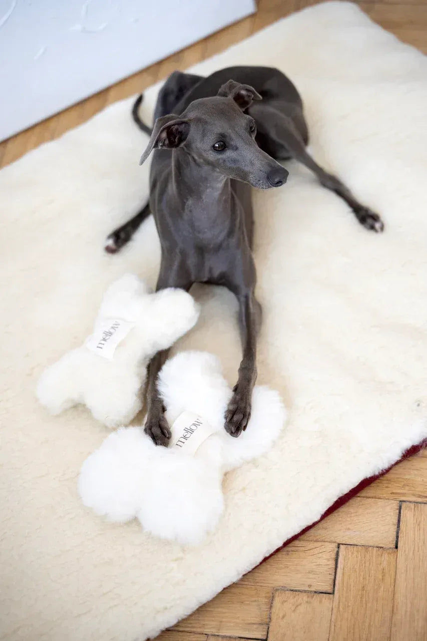Miniaturbild: Natürliches Hundespielzeug aus Schaffell – Knochenform, Weiss