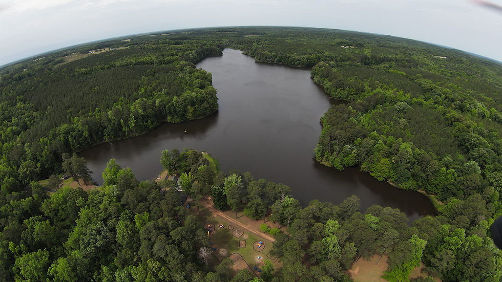 City Pond Overview (1).JPG
