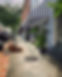 92D08680-A956-4BC8-B157-24AF8EBCF26B.jpg