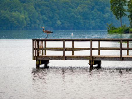 Reconnect with Nature - Weekend Getaway to Lake Reidsville