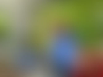 Sylva Julie Donaldson