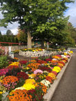 fall gardens.jpeg