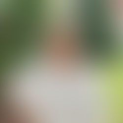 Albemarle Champion_Pam_Poplin