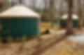 Yurts at 4Paws Kingdom