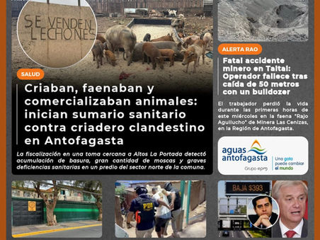 Portada N°975 de Radio Antofagasta Online para hoy jueves 15 de octubre de 2026