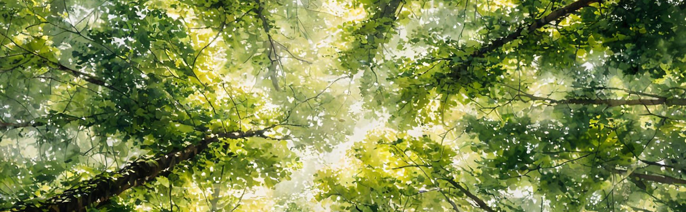 Watercolor Header.jpg