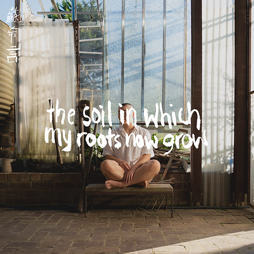 AlbumArt_TSIWMRNG.png