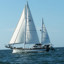 Cruising off of Marco Island