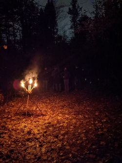 PXL_20211015_233527010.MP