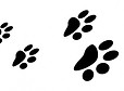 paw prints