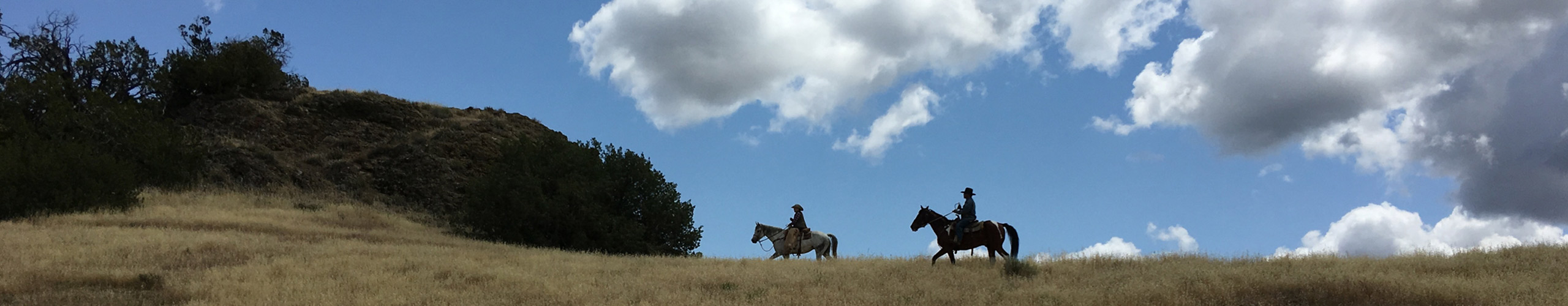 V6 Ranch Parkfield Cafe & Lodge | Rides