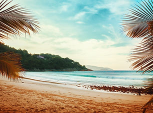 Palmen Blick auf den Strand