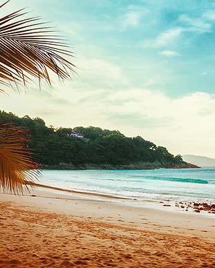 Palmbomen Beach View