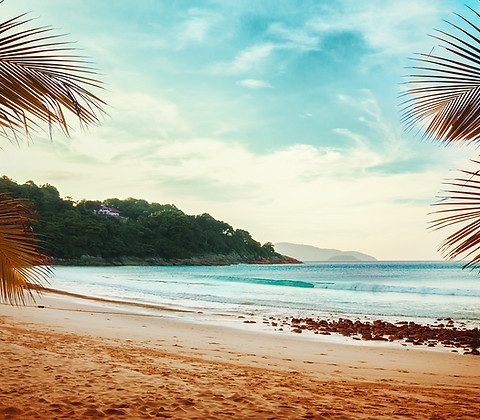 Palmen Blick auf den Strand