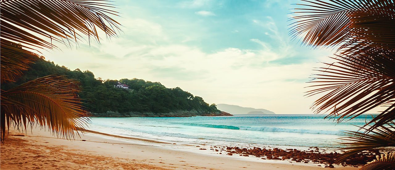 Palm Trees Beach View