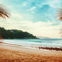 Palmen Blick auf den Strand