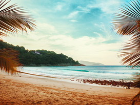 Palmy Beach View