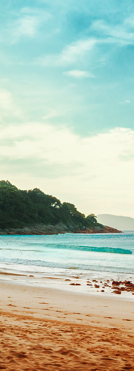 Ver praia das palmeiras