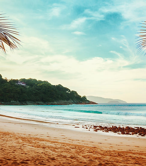 Palm Trees Beach View