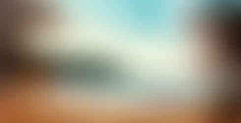 Palm Trees Beach View