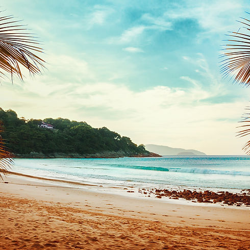 Palm Trees Beach View