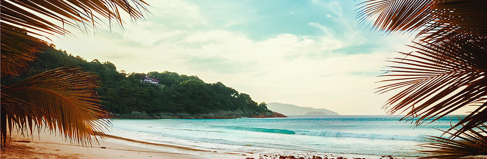Palmbomen Beach View