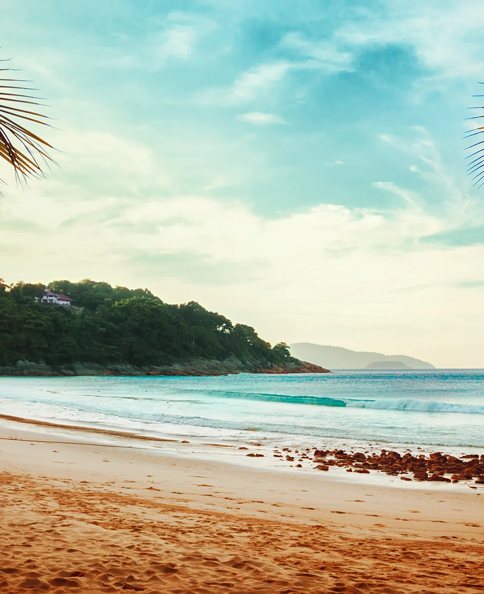 音楽で健康を考える会考える会 耳年齢 難聴 ピアノ 情操教育 生涯学習 鎌倉市