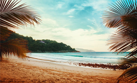 LES PLAGES DES ANTILLES