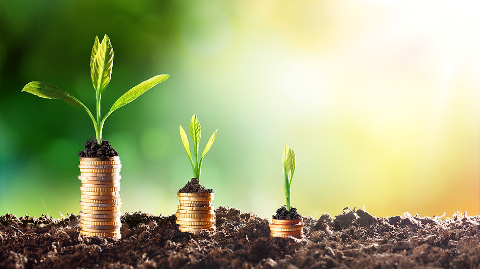 Plants growing from savings
