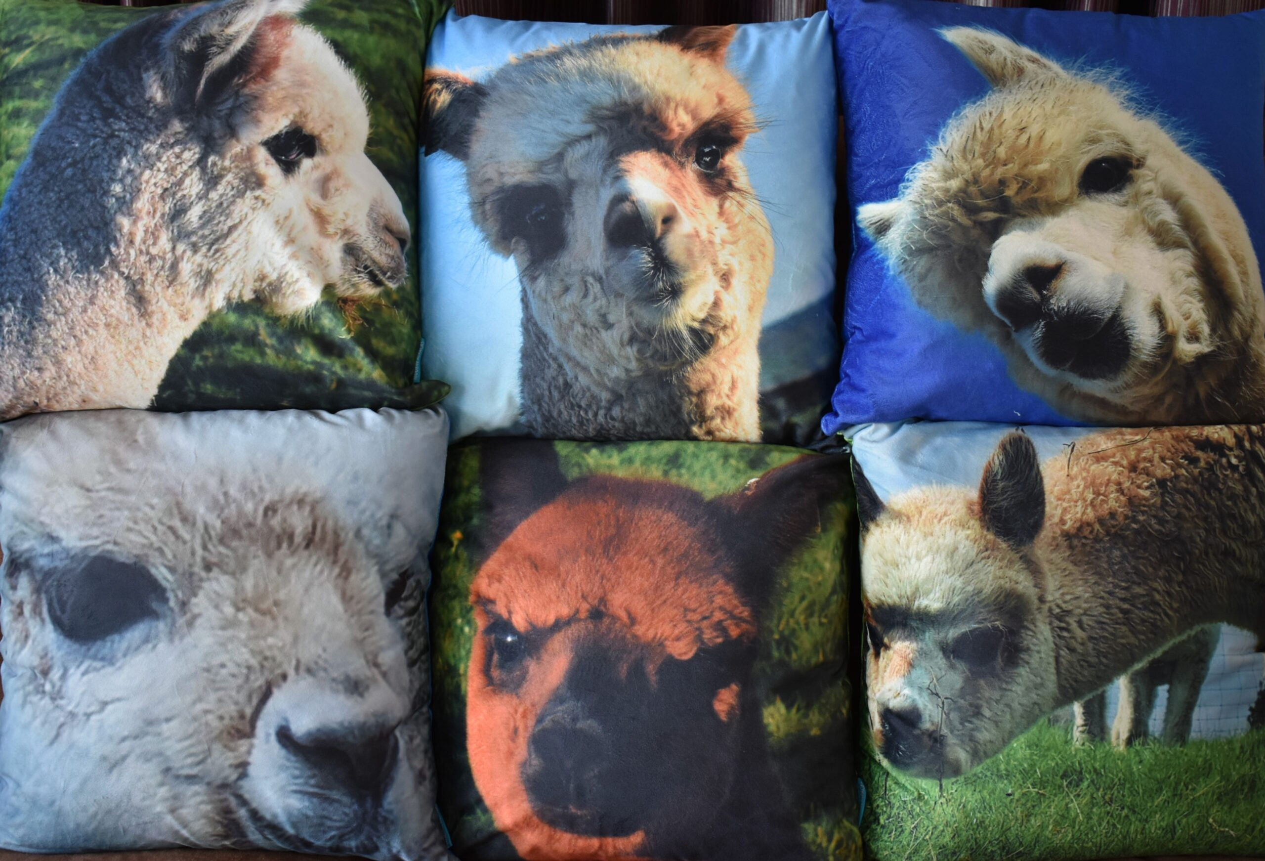 Set Of 6 Velvet Mourne Alpaca Image Cushions, Zip Closing And Tagged 45x4