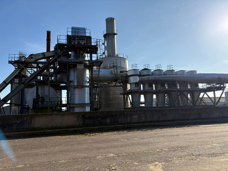 Plant Maintenance 13.jpeg