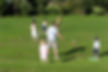 Family playing in meadow