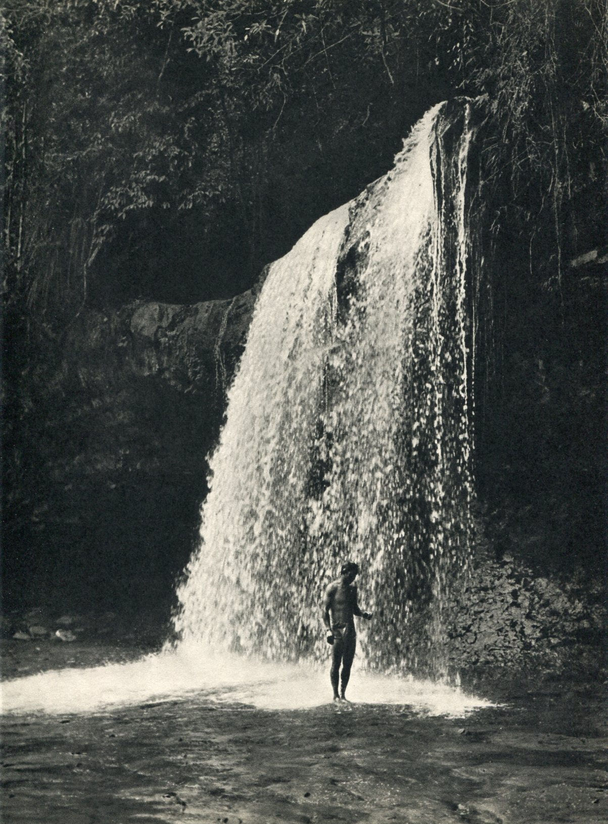 K F Wong - Borneo - Glittering Cascade