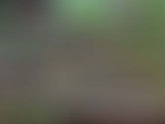 熊野古道🌿世界遺産