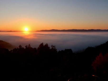 雲海in京都🌅☁️
