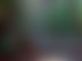 熊野古道🌲🌲