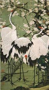 伊藤若冲🐓🌼