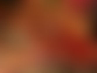 湯豆腐in南禅寺🍁