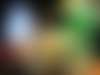 瀬戸内国際芸術祭Ⅱ🌸