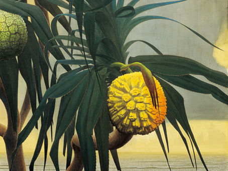 奄美大島🏝田中一村