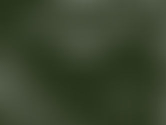 Chopin piano concert