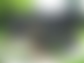 Indië-herdenking 14 augustus