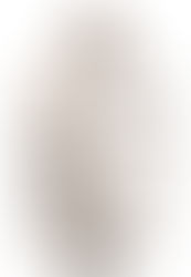 October 26, Day 299 – Security in An Uncertain World